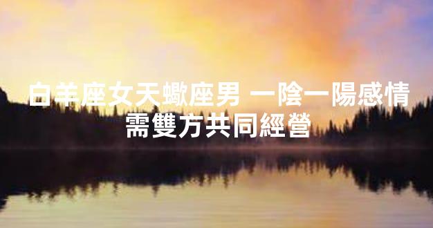 白羊座女天蠍座男 一陰一陽感情需雙方共同經營
